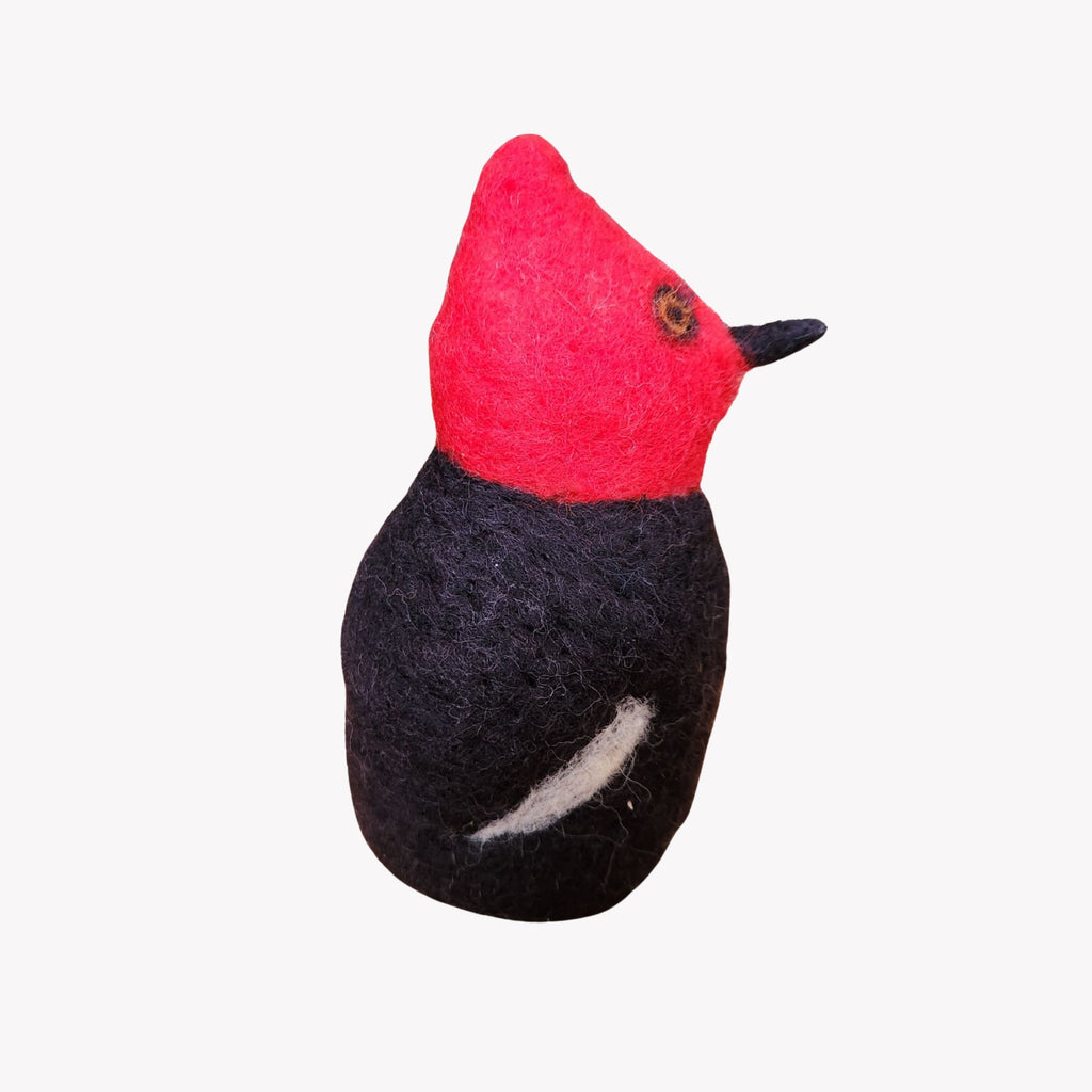 Figura Ave Nativa Pájaro Carpintero Vellón Agujado - Witralun