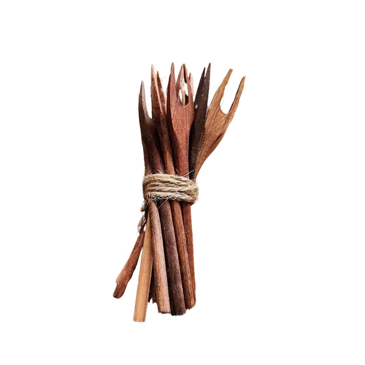 Set de 12 Pinchos de Madera de Raulí Gruesos - Witralun